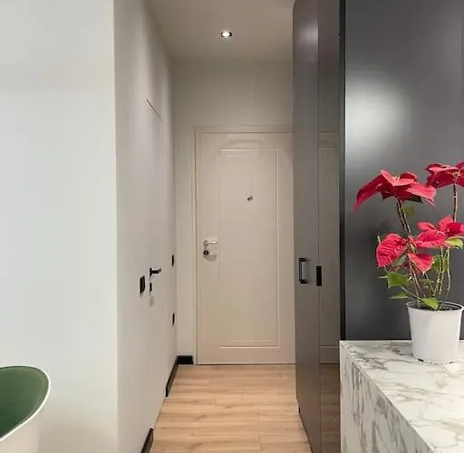 Angry Architects Apartment01 ティラナ