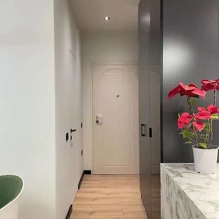 Angry Architects Apartment01 تيرانا